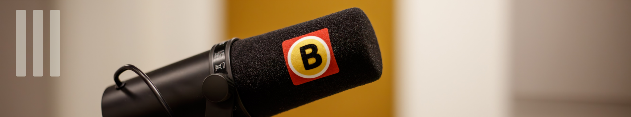 Banner Omroep Brabant Akoestiek