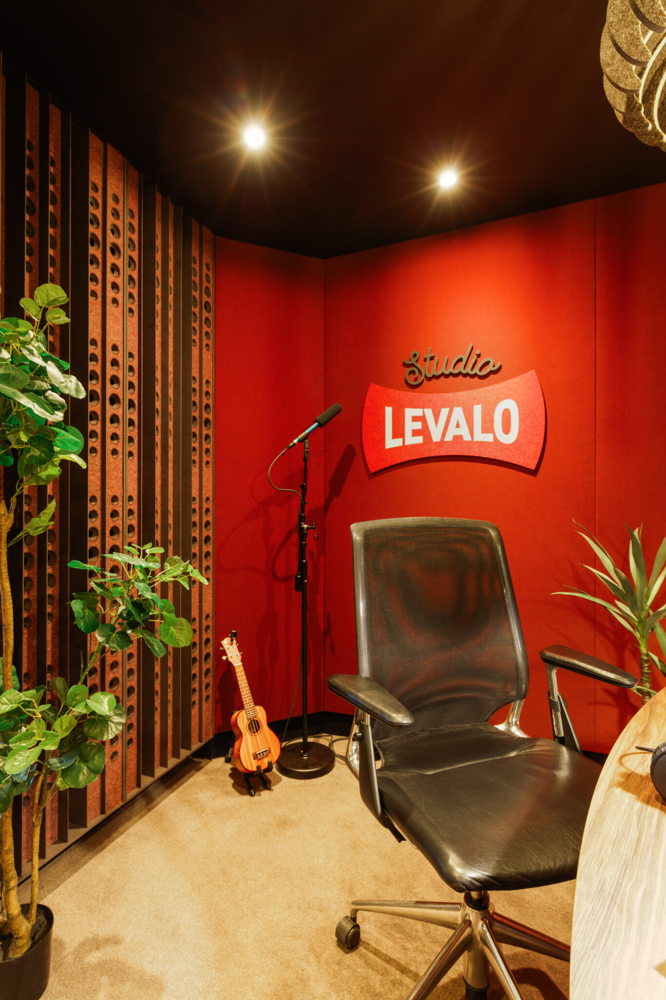 studio levalo-2